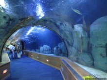 Самый крупный Океанариум в Европе.