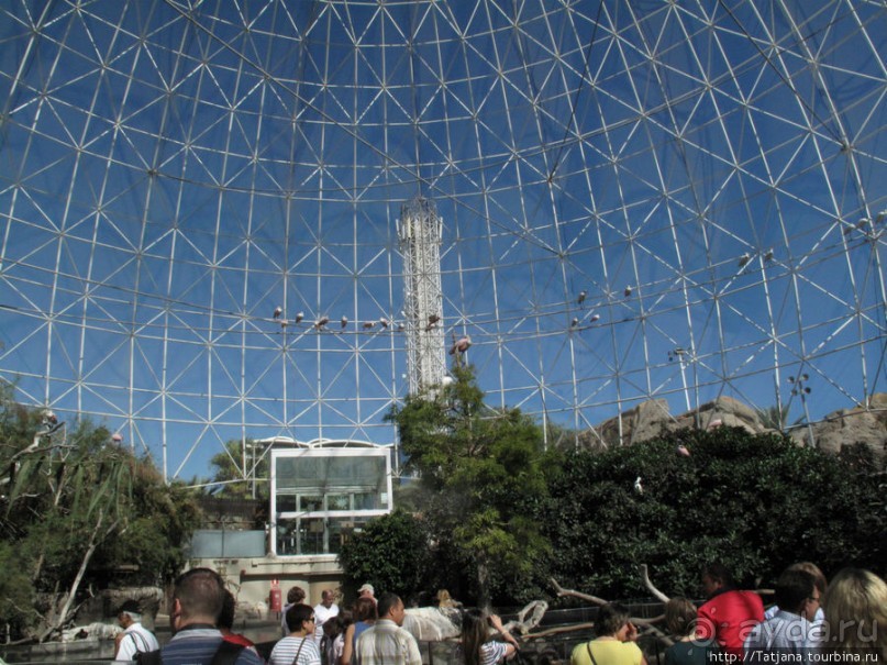 Самый крупный Океанариум в Европе.