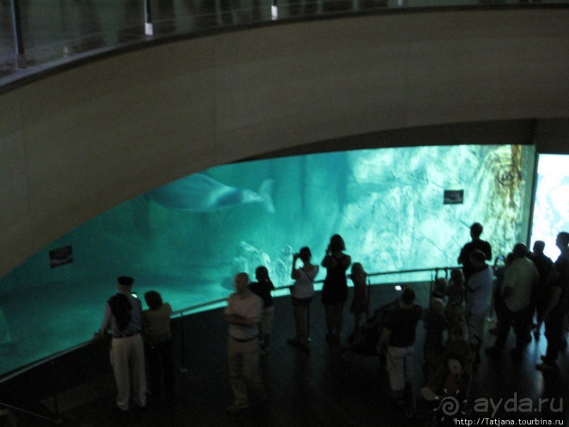 Самый крупный Океанариум в Европе.