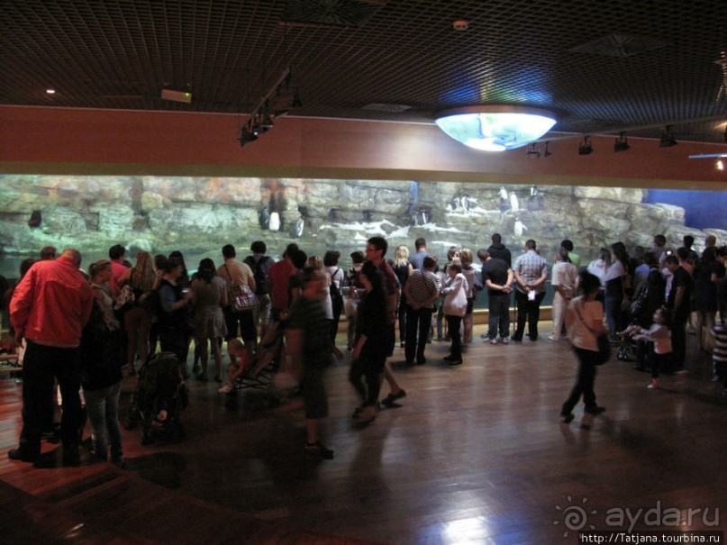 Самый крупный Океанариум в Европе.