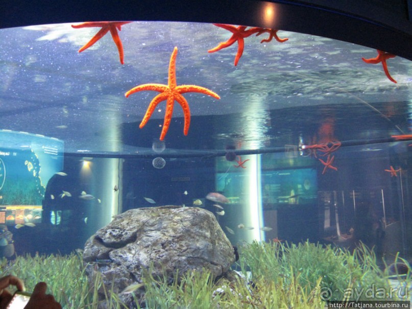 Самый крупный Океанариум в Европе.