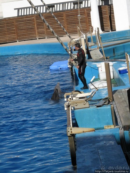 Самый крупный Океанариум в Европе.