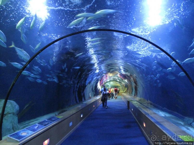 Самый крупный Океанариум в Европе.