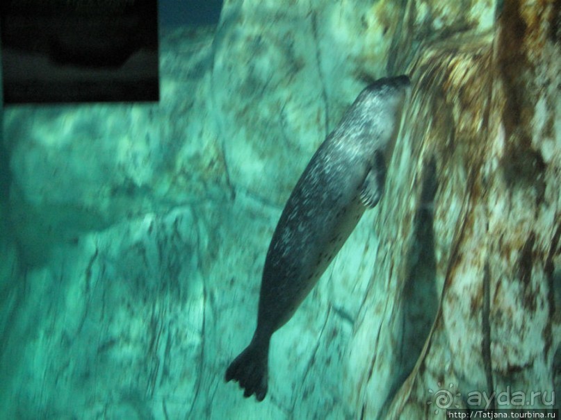 Самый крупный Океанариум в Европе.