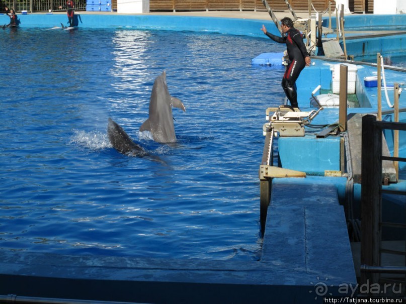 Самый крупный Океанариум в Европе.