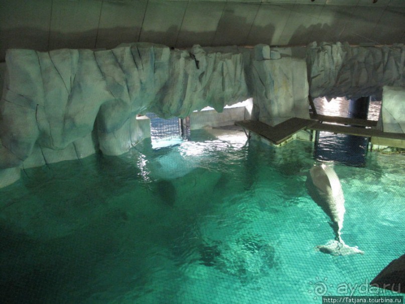 Самый крупный Океанариум в Европе.