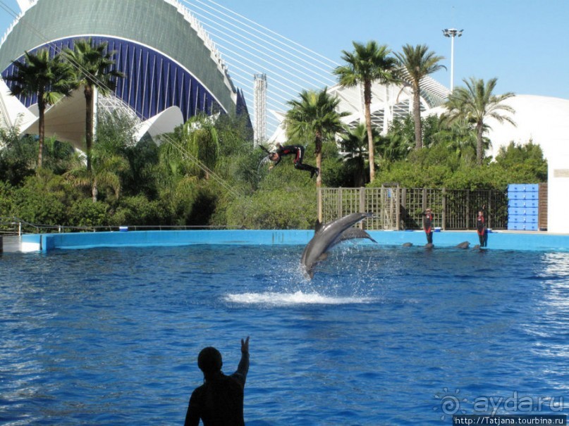 Самый крупный Океанариум в Европе.