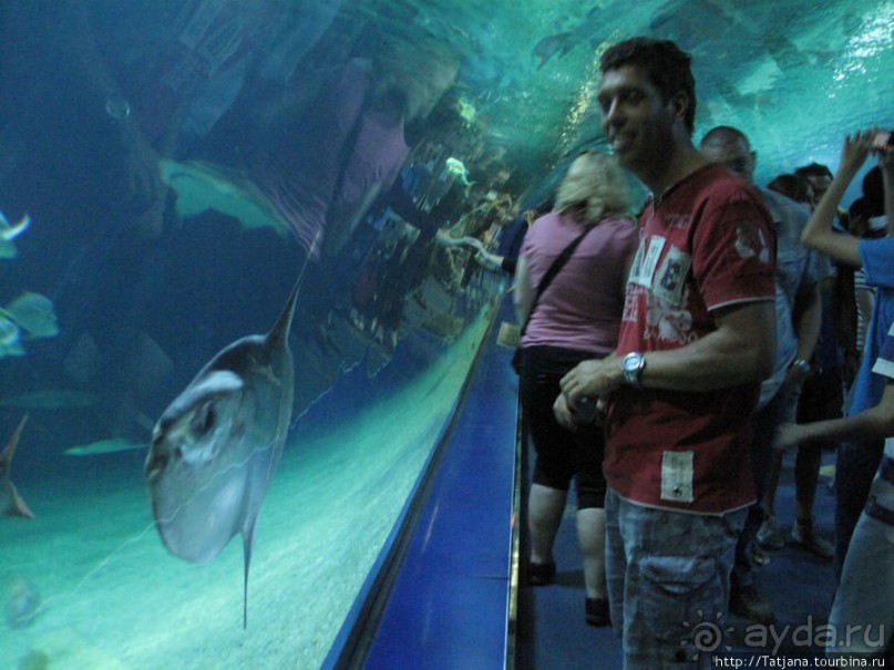 Самый крупный Океанариум в Европе.
