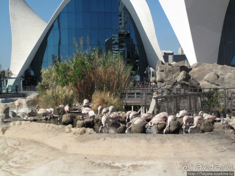 Самый крупный Океанариум в Европе.