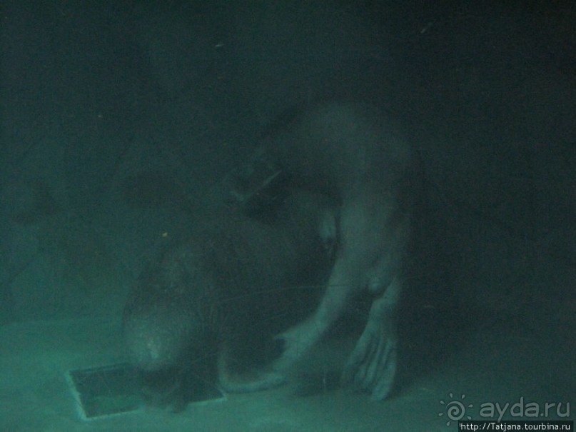 Самый крупный Океанариум в Европе.