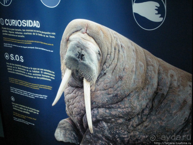 Самый крупный Океанариум в Европе.