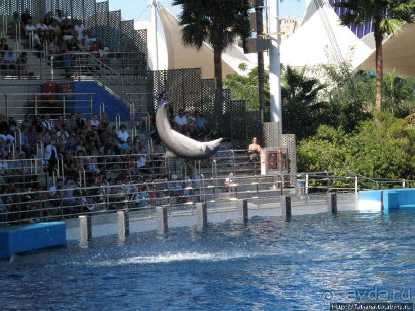 Самый крупный Океанариум в Европе.