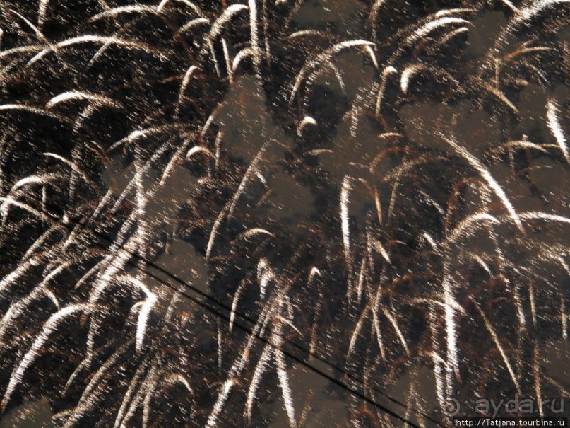 Феерверк в Валенсии в день Валенсианского сообщества