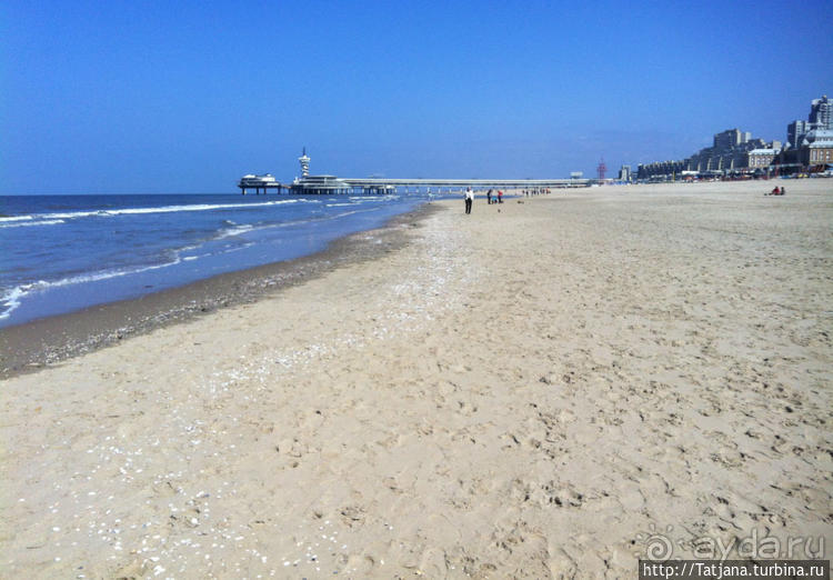 Самый главный пляж Голландии