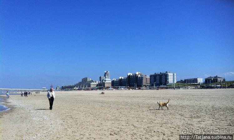 Самый главный пляж Голландии