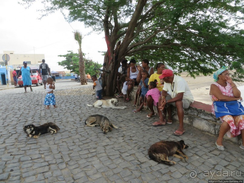 Что собой представляет остров зеленого мыса — остров Сал