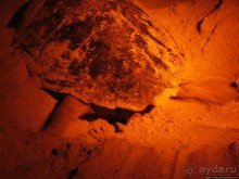 Что собой представляет остров зеленого мыса — остров Сал