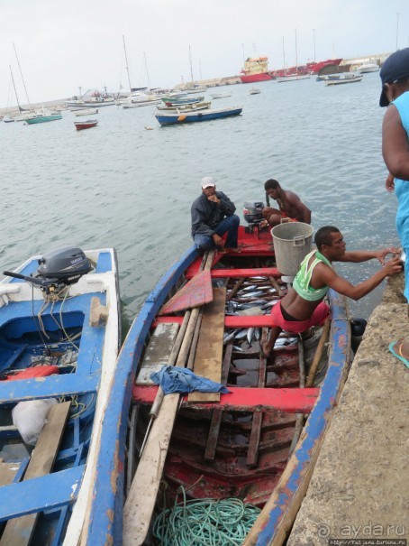Что собой представляет остров зеленого мыса — остров Сал