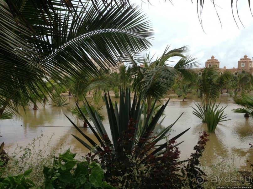 Что собой представляет остров зеленого мыса — остров Сал