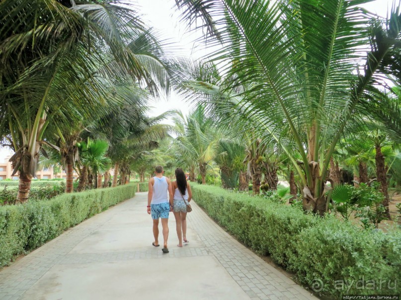 Что собой представляет остров зеленого мыса — остров Сал