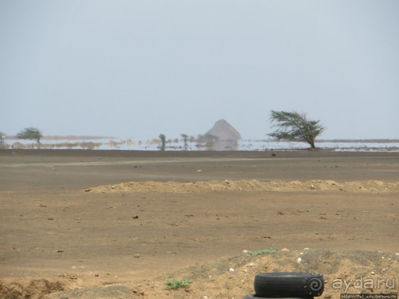 Что собой представляет остров зеленого мыса — остров Сал