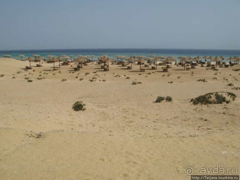 Альбом отзыва "Gorgonia Beach Resort"