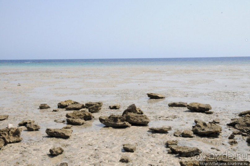 Альбом отзыва "Gorgonia Beach Resort"