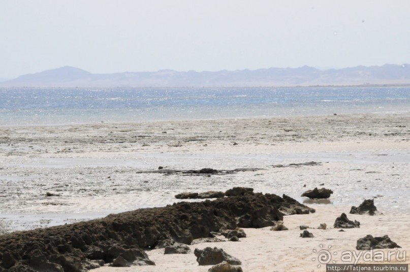 Альбом отзыва "Gorgonia Beach Resort"