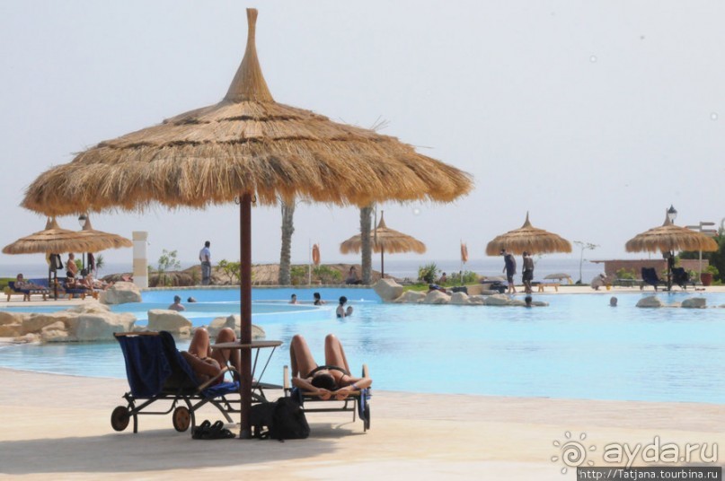 Альбом отзыва "Gorgonia Beach Resort"