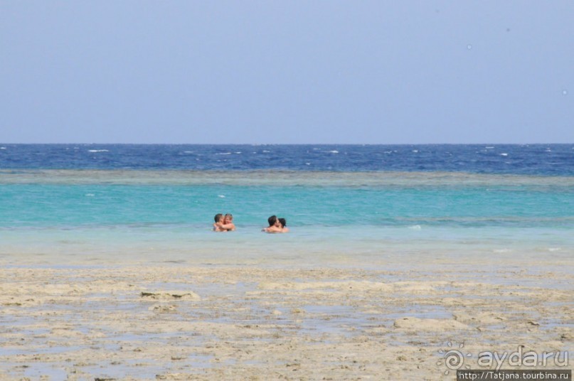 Альбом отзыва "Gorgonia Beach Resort"