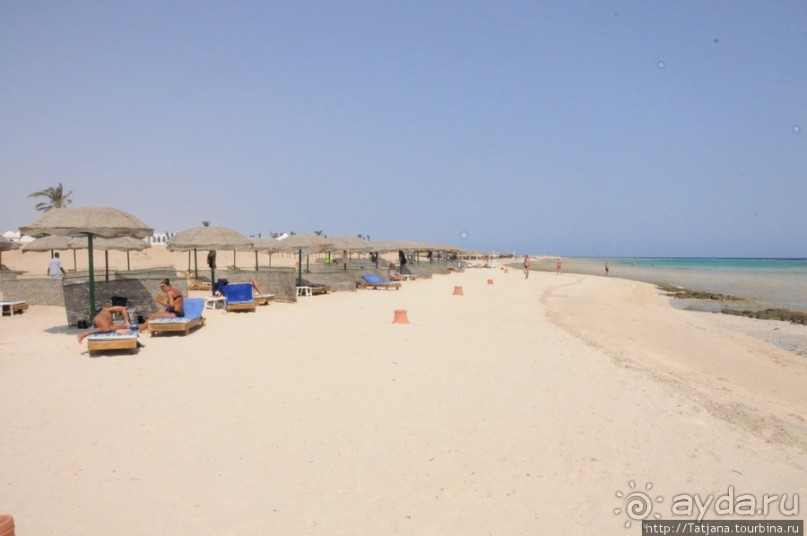 Альбом отзыва "Gorgonia Beach Resort"