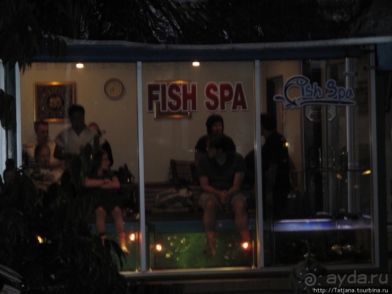 Я в восторге от столицы Северного Таиланда