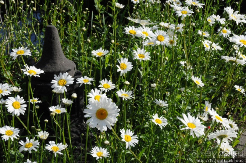 Херлен.... и почему он не в моде.