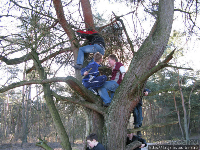 Херлен.... и почему он не в моде.
