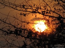 Херлен.... и почему он не в моде.