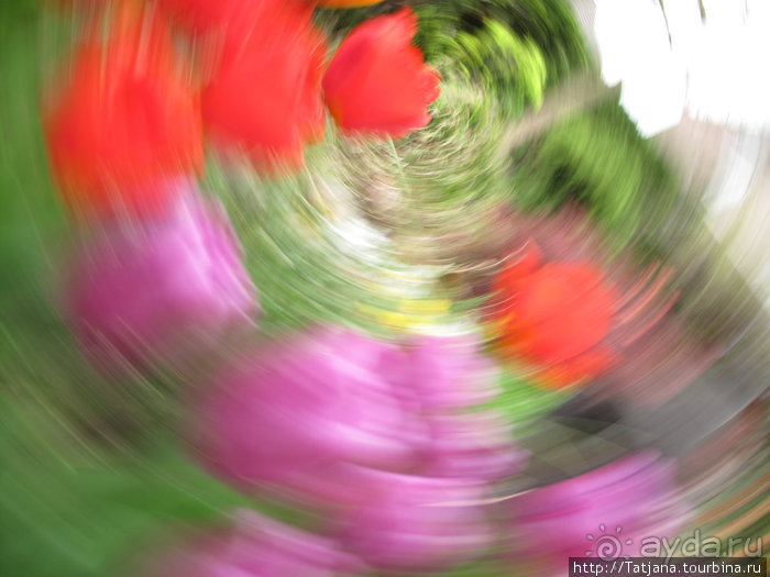 Херлен.... и почему он не в моде.