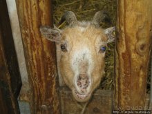 Херлен.... и почему он не в моде.