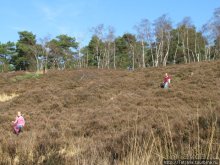 Херлен.... и почему он не в моде.