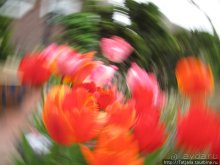 Херлен.... и почему он не в моде.