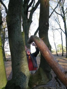 Херлен.... и почему он не в моде.