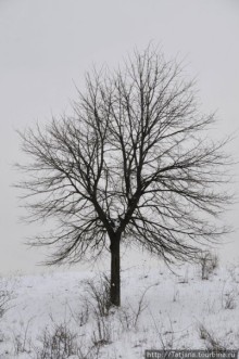 Херлен.... и почему он не в моде.