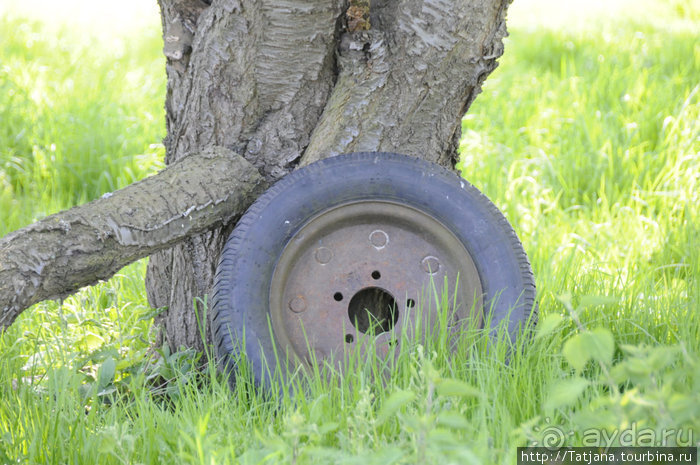 Херлен.... и почему он не в моде.