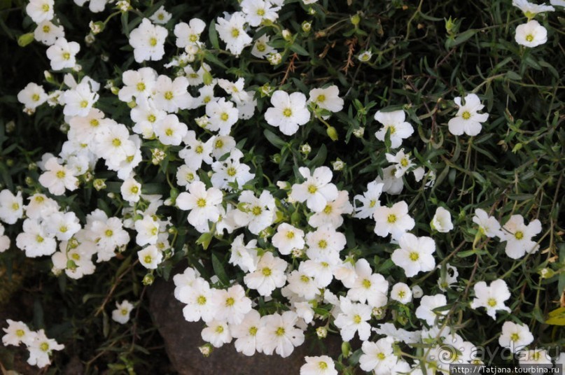 Херлен.... и почему он не в моде.