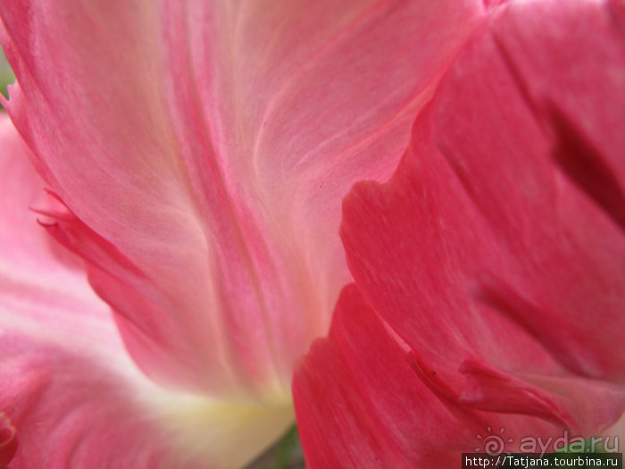 Херлен.... и почему он не в моде.