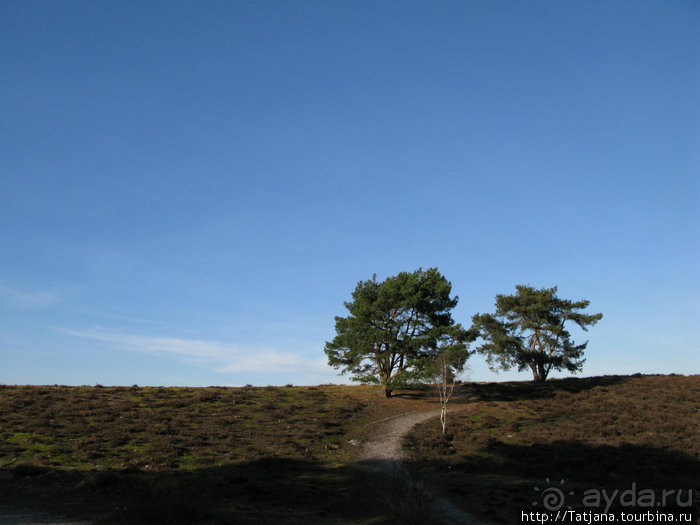 Херлен.... и почему он не в моде.