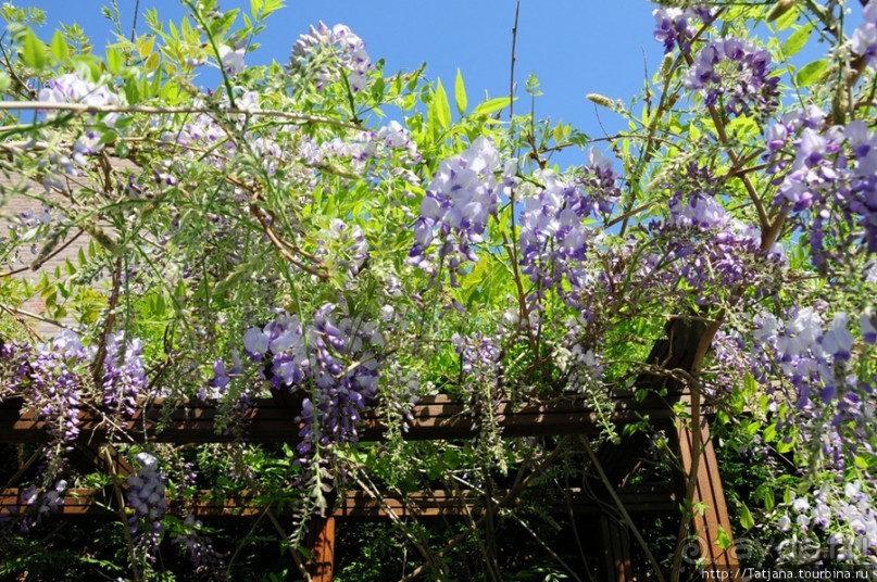 Херлен.... и почему он не в моде.