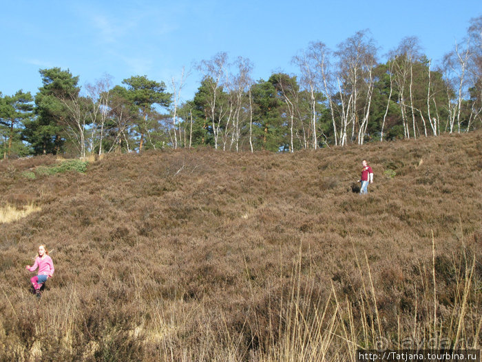 Херлен.... и почему он не в моде.