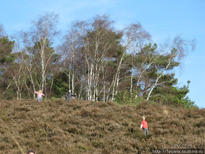 Херлен.... и почему он не в моде.