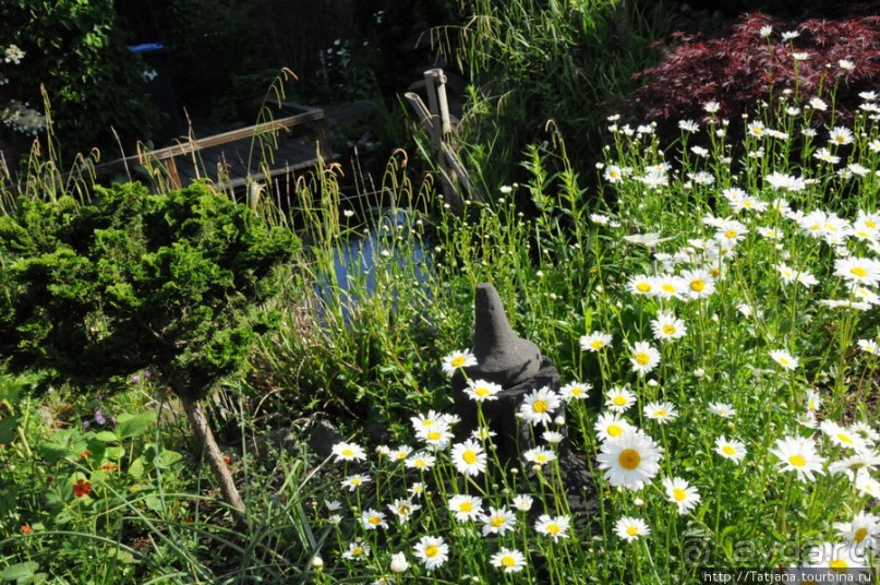 Херлен.... и почему он не в моде.