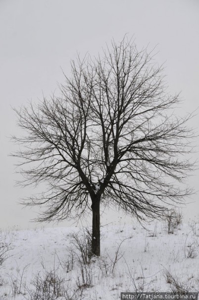 Херлен.... и почему он не в моде.